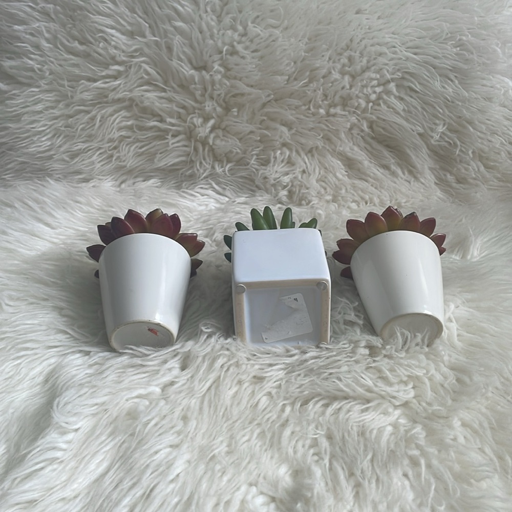 Small Fake Plants - Picture 6 of 8